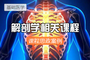 <em>臨床醫學</em>：《解剖學》<em>課程</em><em>思</em><em>政</em><em>案例</em>