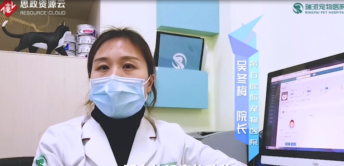 了不起的寵物<em>醫生</em>吳冬梅：因為熱愛，所以堅守