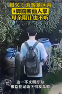 連踹5<em>腳</em><em>踢</em>斷景區仙人掌！男子引發眾怒