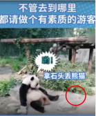 文明旅游 愛護(hù)和保護(hù)動(dòng)物