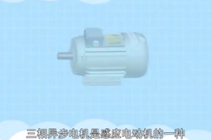 <em>三相</em><em>異步電動(dòng)機(jī)</em>