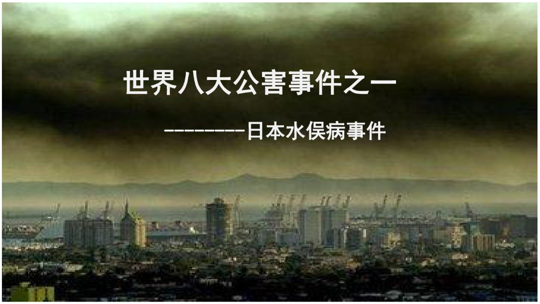 世界<em>八大</em>公害事件<em>之一</em>——水俁病