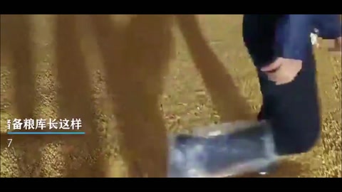 探秘“大國糧倉”！原來中央儲備糧庫長這樣