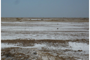鹽漬<em>土</em>—不良<em>的</em>公路用<em>土</em>