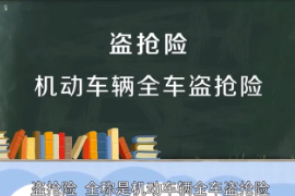 <em>機動車輛</em>全車盜搶險