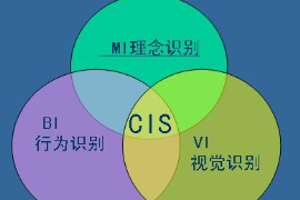 <em>CIS</em>企業(yè)識(shí)別系統(tǒng)