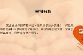 《近因原則—暴風(fēng)責(zé)任》近因判斷