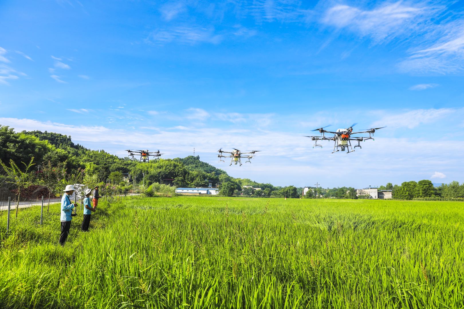 <em>無人機</em>成“助農神器” 帶來農業生產幸福感