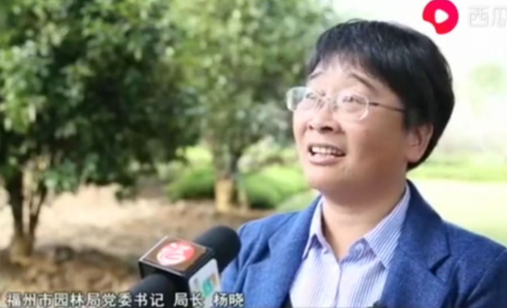 福州市園林局局長楊曉：小步積大綠 呵護(hù)滿城綠蔭