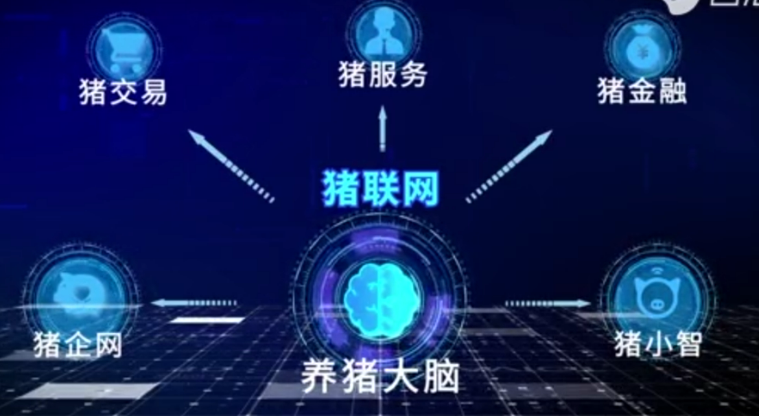 農(nóng)信互聯(lián)豬聯(lián)網(wǎng) 開創(chuàng)數(shù)字化時(shí)代的智慧養(yǎng)豬新模式