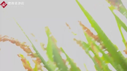 <em>釀酒</em>——中國<em>的</em>傳統