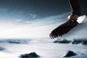 <em>個性化</em>服務