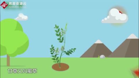 什么是中藥甘草