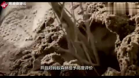 <em>馬</em>云<em>的</em>支付寶，推出螞蟻森林2年，投資2億，你種<em>的</em>樹多大了？