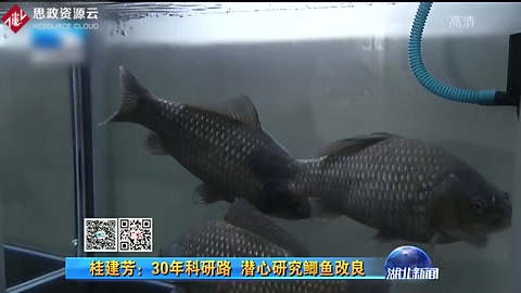 桂建芳：30年科研路 潛心研究<em>鯽魚</em>改良