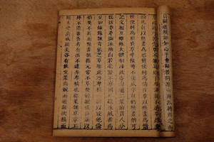 明代養(yǎng)魚著作——《魚經(jīng)》