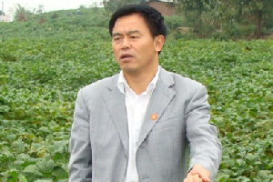 楊文鈺教授——率領(lǐng)團(tuán)隊(duì)研發(fā)的玉米、大豆間作新農(nóng)藝被寫進(jìn)了2020年中央1號(hào)文件