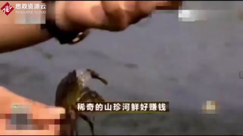 90后大學生回農村零基礎養殖螃蟹