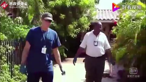 美國邁阿密遭非洲蝸牛入侵，當地居民苦不堪言：我都出不了門了