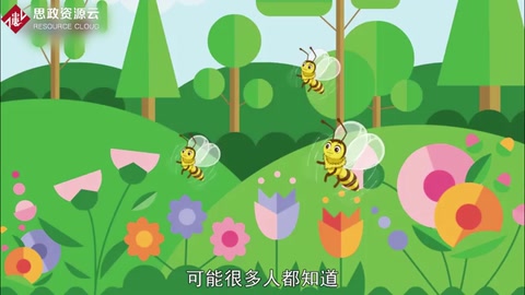 蜜蜂為什么要<em>跳舞</em>