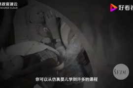 智能仿真嬰兒——并非是一個玩具