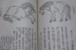 帶你了解司牧安驥集