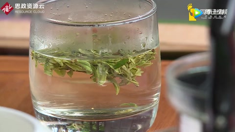帶你了解徐匯飲茶<em>文化</em>周