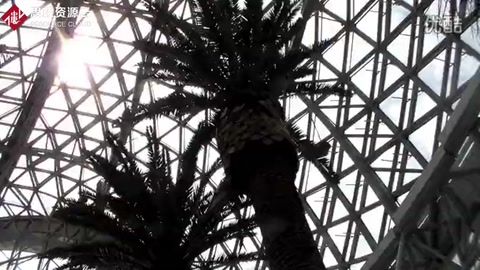 青島世博園景區的<em>植物</em>館