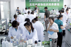 全國高職組植物組織培養(yǎng)<em>技能</em><em>大賽</em><em>現(xiàn)場</em>裁判