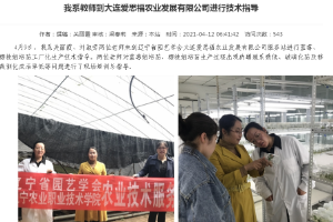 科技服務--遼寧省園藝學會<em>技術</em>服務<em>團隊</em>到大連愛思福農業發展有限公司服務站開展<em>技術</em>服務