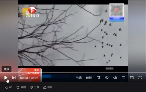 授課視頻—疫情下<em>的</em>愛情：<em>隔</em>空不<em>隔</em><em>愛</em>