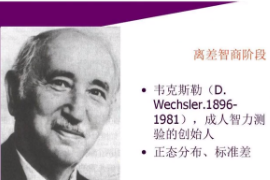 什么是韋氏智力測(cè)驗(yàn)