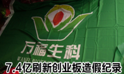 <em>項目</em><em>七</em><em>固定資產</em>----<em>萬福</em><em>生</em><em>科</em><em>造假</em><em>平安</em><em>難</em><em>咎</em><em>其</em><em>責</em>（<em>近朱者赤近墨者黑</em>）-<em>圖片</em>3