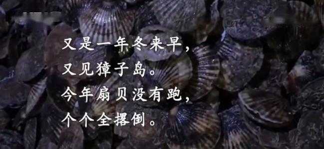 <em>項(xiàng)目</em><em>四</em><em>存貨</em>----<em>存貨</em><em>期末</em><em>計(jì)量</em>（<em>獐子</em><em>島</em><em>違規(guī)</em><em>案例</em>，<em>合法經(jīng)營(yíng)</em><em>重要性</em>）-<em>圖片</em>4