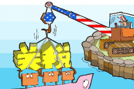 授課圖片—<em>關稅</em>
