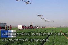 <em>科技</em>賦能高效春耕 統防統治助力弱苗轉壯