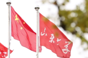 <em>微</em><em>課</em>：<em>漢語言</em><em>文學</em><em>專業(yè)</em>《現(xiàn)代漢語》