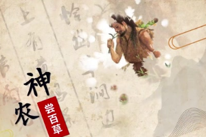 <em>微</em><em>課</em>：<em>中藥學(xué)</em><em>專業(yè)</em>《<em>中藥學(xué)</em>》