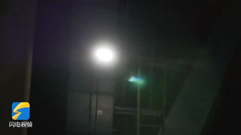 接觸網高空蝴蝶