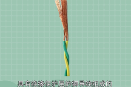 雙絞線—一種綜合<em>布線</em>工程中最常用<em>的</em>傳輸介質(zhì)