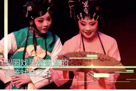 <em>一分鐘</em><em>了解</em>梨園<em>戲</em>