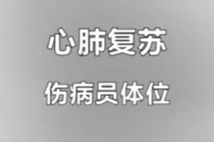 紅十字救護員培訓課程：心肺復蘇-傷病員體位