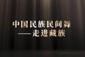 微課：早期教育、學前教育專業《舞蹈基礎—走進藏族民間舞之顫膝》