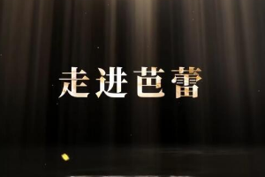 <em>微</em><em>課</em>：<em>早期教育</em>、<em>學前教育</em><em>專業</em>《<em>舞蹈</em><em>基礎</em>—走進芭蕾舞》