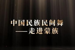 微課：早期教育、學前教育專業《舞蹈基礎—走進蒙族民間舞之柔臂》