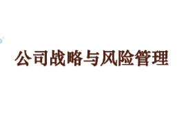 課件：工商管理專業(yè)《公司戰(zhàn)略與風(fēng)險管理》