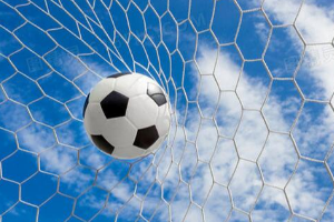 <em>運動</em><em>訓練</em>—足球（<em>圖</em><em>1</em>）