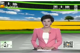 生豬養殖效益如何再提升？抓好這<em>三個</em>時期很重要