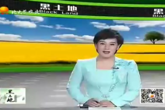 后備母豬如何才能養<em>的</em>好？<em>來聽</em>聽<em>專家</em>提出<em>的</em>飼養管理技術要點