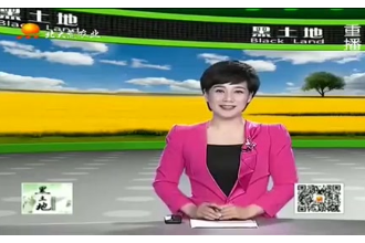 母豬<em>妊娠</em>期的飼養(yǎng)和管理方法